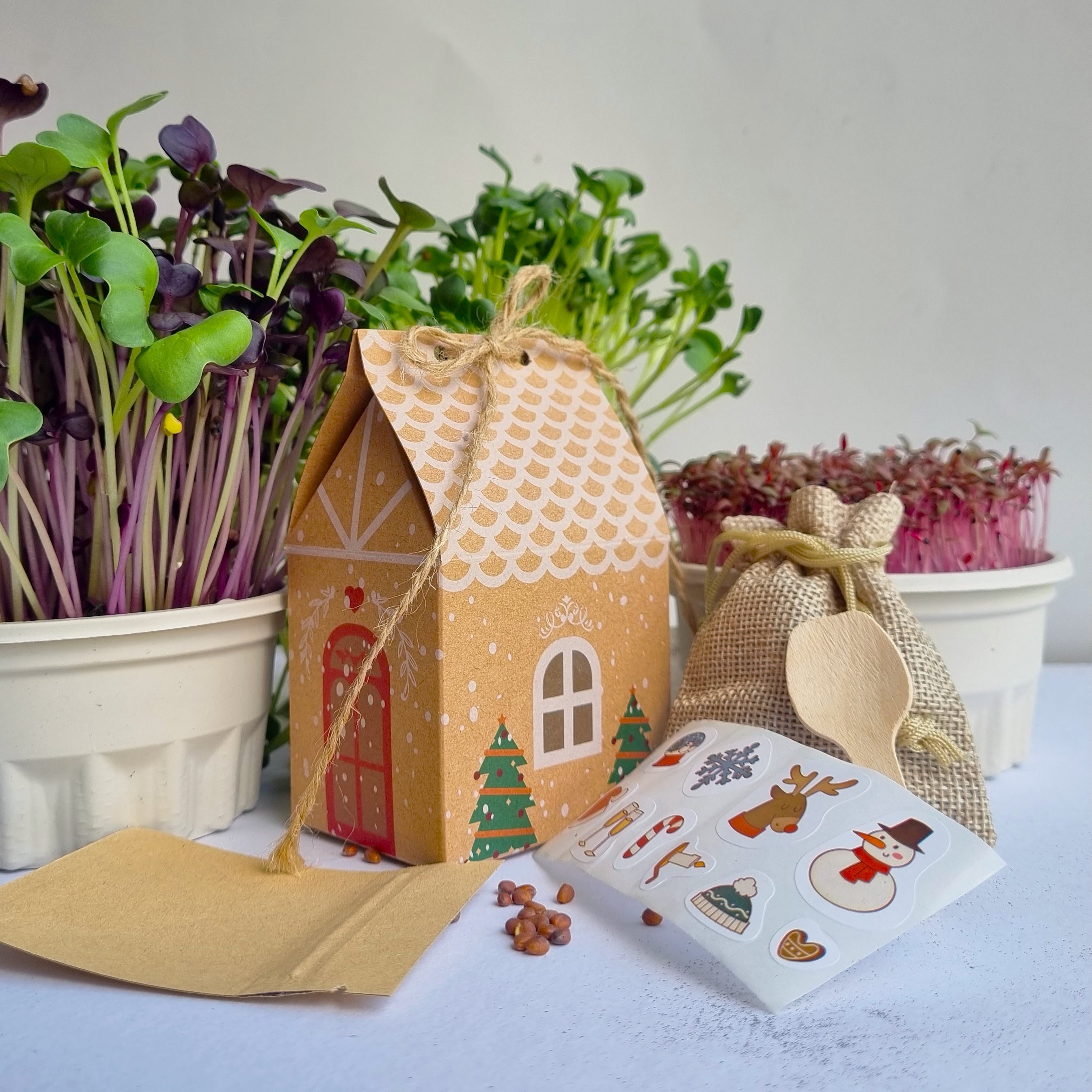 Merry Microgreens Growing Kit