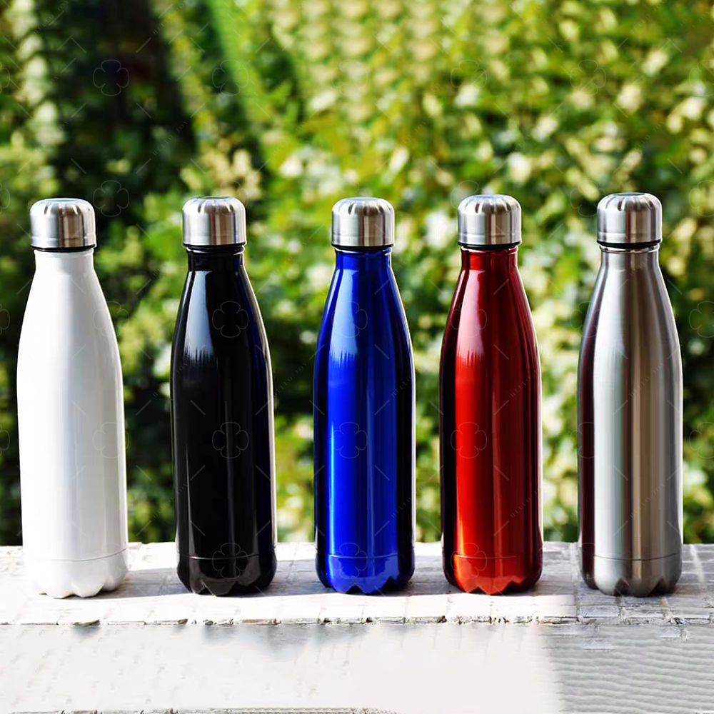 Everest Sports Water Bottle