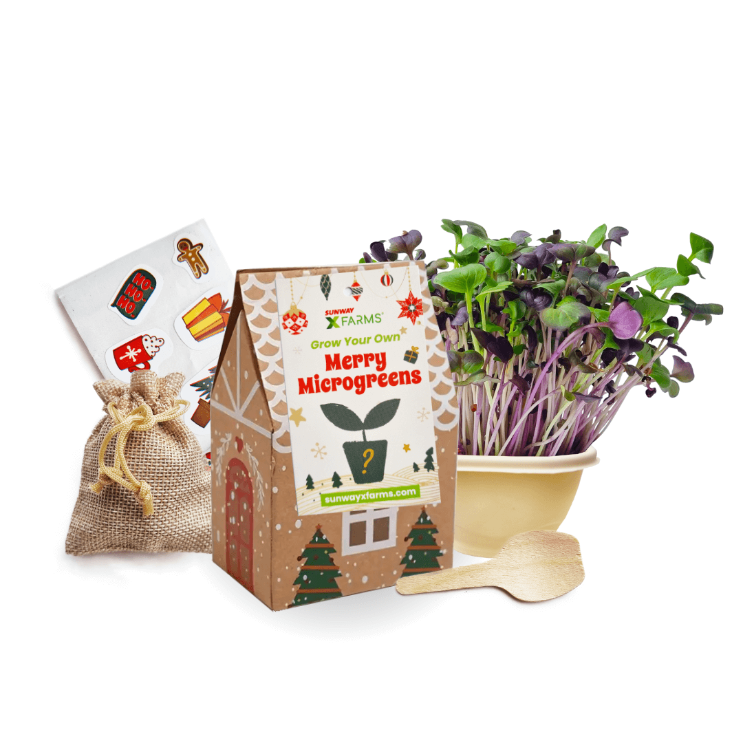 Merry Microgreens Growing Kit