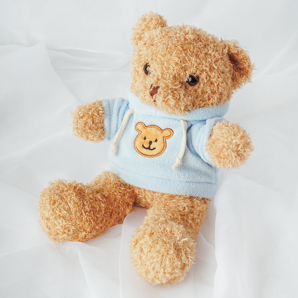 Benjamin The Straight A's Bear