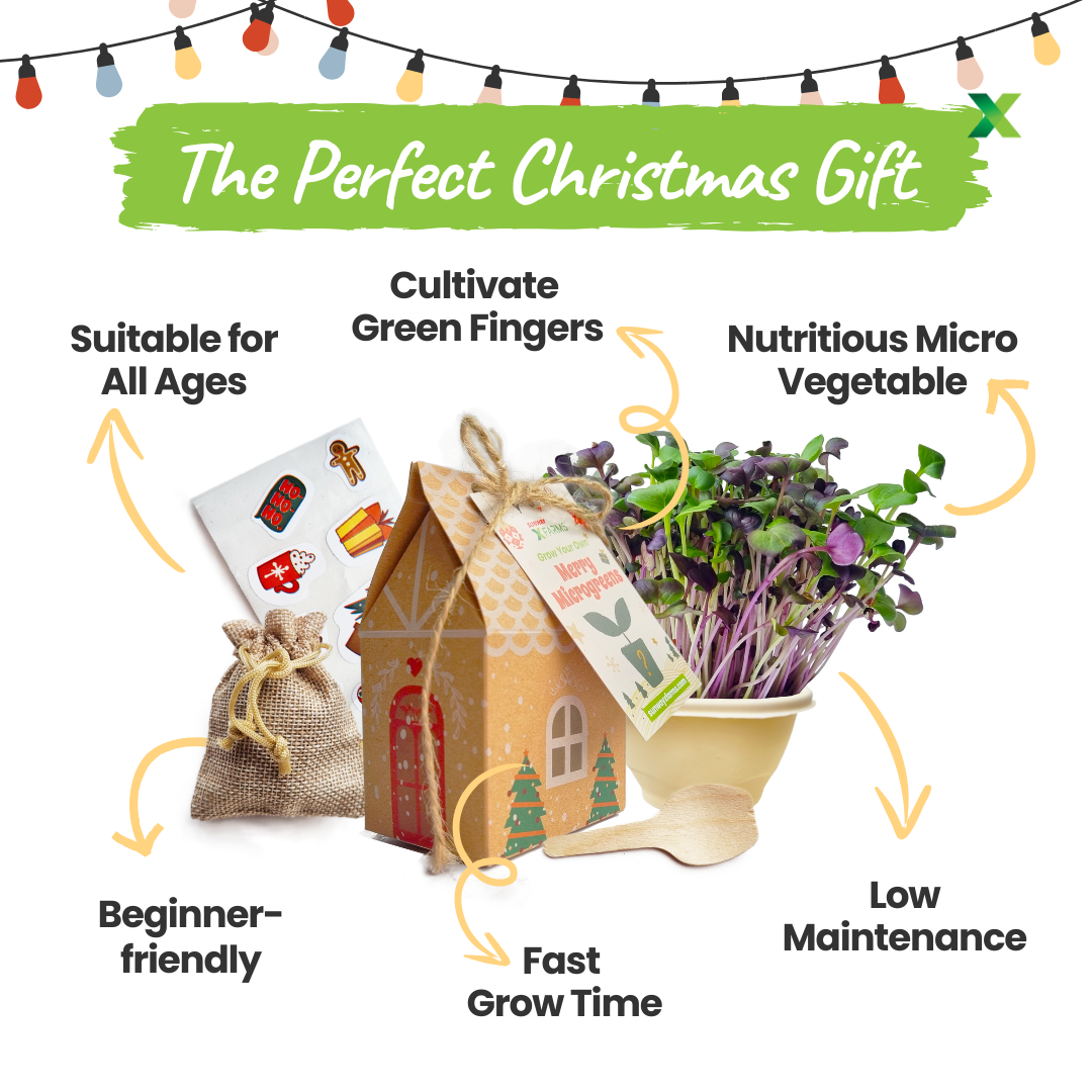 Merry Microgreens Growing Kit